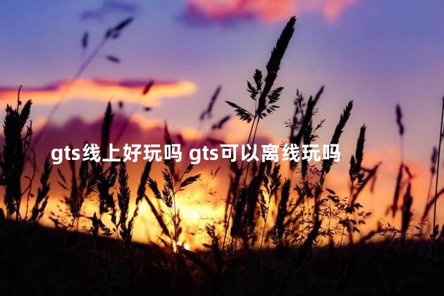 gts线上好玩吗 gts可以离线玩吗